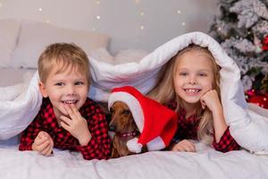 Zwei Kinder, ein Junge und ein Mädchen, liegen zu Weihnachten mit ihrem geliebten Haustier im Bett. hochwertiges Foto