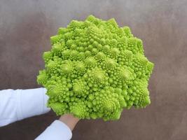 großer Romanescu von intensiv grüner Farbe, frisch geerntet foto