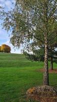 Herrlicher Blick auf die britische Landschaft und Landschaft foto