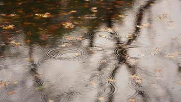 die herbstansicht mit den regnerischen tröpfchen, die auf die wasseroberfläche im teich fallen foto