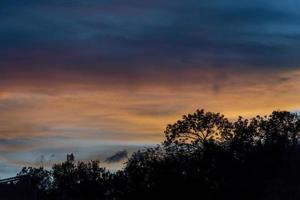 Sonnenuntergang mit rotem und blauem dramatischem Himmel, Silhouette gegen das Licht, Schatten der Bäume, Hintergrund, bunt, Mexiko, foto