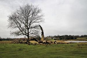 ein Blick auf die Landschaft von Shropshire in Attingham in der Nähe von Shrewsbury. foto