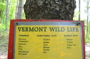 zeichen der wild lebenden tiere von vermont auf baumstamm foto