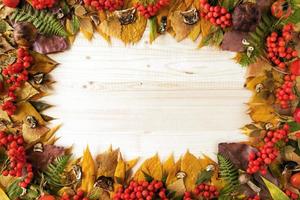 Rahmen aus trockenen bunten Herbstblättern, trockenen und frischen Pilzen, frischen Hagebutten und Vogelbeeren auf dem Holzhintergrund, Draufsicht. foto