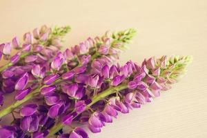 Lila Blüten von Lythrum auf dem weißen Holzhintergrund. getönt. foto