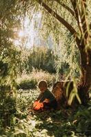 charmanter süßer Junge mit einem Kürbiskorb für Süßigkeiten sitzt bei Sonnenuntergang unter einer sich ausbreitenden Weide. fabelhafter magischer schöner Wald. Halloween-Konzept. Kind spielt im Freien. Platz für Text foto