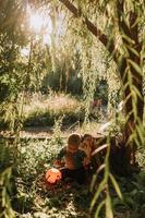 charmanter süßer Junge mit einem Kürbiskorb für Süßigkeiten sitzt bei Sonnenuntergang unter einer sich ausbreitenden Weide. fabelhafter magischer schöner Wald. Halloween-Konzept. Kind spielt im Freien. Platz für Text foto