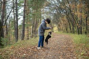 Ein glücklicher und fröhlicher Junge geht mit seinem Kumpel, einem Boston-Terrier-Welpen, in einem wunderschönen goldenen Herbstwald spazieren. Ein Kind spielt und hat Spaß mit einem Hund, während es draußen in der Natur spazieren geht. foto