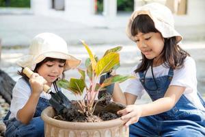 geschwister asiatisches mädchen pflanzt frühlingsblumen baum in töpfen im garten vor dem haus, kindererziehung der natur. für neues Leben sorgen. Feiertagskonzept zum Tag der Erde. Weltumwelttag. Ökologie. foto