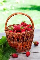 Frische Erdbeeren in einem Korb auf einem Tisch im Garten foto