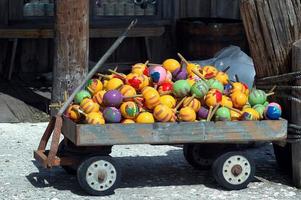 Maracas zu verkaufen foto