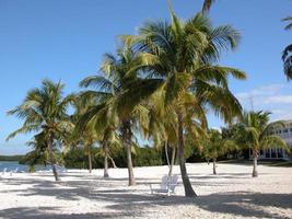 Strand in Florida foto