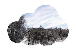 digitale Illustration Schneewaldhintergrund foto