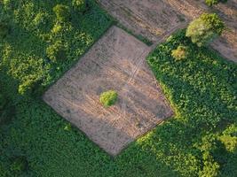 Luftaufnahme von grünen landwirtschaftlichen Parzellen mit unbebauten Flächen, die darauf warten, bepflanzt zu werden foto