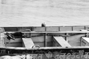 ganga wie gesehen in garh mukteshwar, uttar pradesh, indien, ganga gilt als der heiligste fluss für hindus, blick auf garh ganga brij ghat, der für hindus ein berühmter religiöser ort ist - schwarz und weiß foto