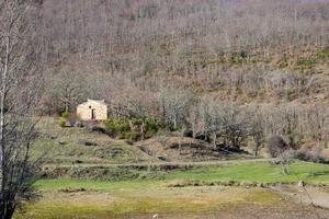 Steinhütte im Wald blattloser Bäume foto