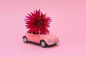 Rosafarbenes Spielzeugauto, das rosarote Chrysanthemenblumen liefert. Valentinstag foto