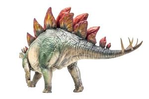 dinosaurier, stegosaurus isolierter hintergrund foto