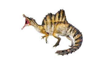 Dinosaurier, Spinosaurus isoliert Hintergrund Beschneidungspfad foto