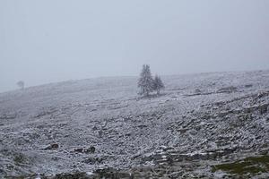 neblige Winterlandschaft foto