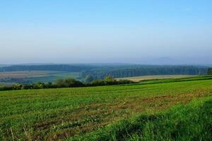 Feld in Tuttlingen foto