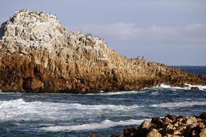 felsige Seelandschaft in Südafrika foto