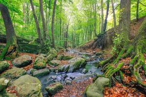 grüner waldbach, strom der alpenberge. schöner wasserfluss, sonnige bunte moosige felsen naturlandschaft. erstaunliche friedliche und entspannende Bergnaturszene, Frühlingssommer-Abenteuerreisen foto