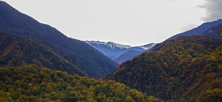 Dschungel und schneebedeckte Berge foto