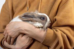 eine junge frau hält ein süßes flauschiges kaninchen in ihren armen. das verängstigte Kaninchen klammerte sich an die Hände der Herrin. foto