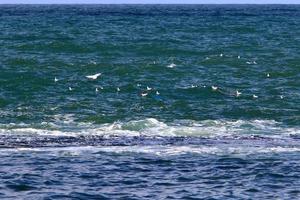 die farbe des wassers im mittelmeer im seichten wasser foto