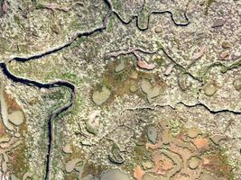 Salzwiesenlabyrinth bei Stiffkey in Norfolk foto