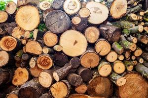 Brennholz. Haufen Holzstämme. gehacktes Brennholz auf einem Stapel. natürlicher hölzerner hintergrund. foto