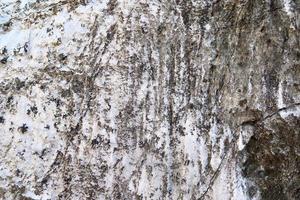 Nahaufnahme an einer natürlichen Kalksteinwand in den Bergen. foto