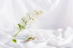 ein Zweig aus weißem Flieder in einem Glas Wasser auf weißem Stoffhintergrund. foto