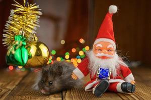 Flauschiger Hamster mit Weihnachtsmann auf schönem Bokeh-Hintergrund foto