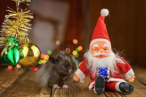 Flauschiger Hamster mit Weihnachtsmann auf schönem Bokeh-Hintergrund foto