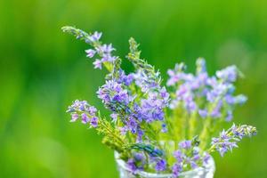 lila Blumen in einer Vase Nahaufnahme auf einem natürlichen Hintergrund foto