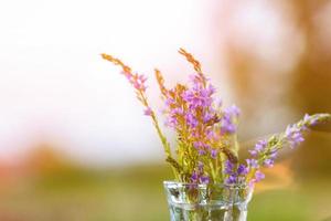 lila Blumen in einer Vase Nahaufnahme auf einem natürlichen Hintergrund foto