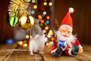 süße ratte im weihnachtsdekor, weihnachtsmann und bokeh foto