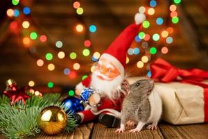 glückliche ratte an mit weihnachtsmann und geschenk auf hölzernem hintergrund mehrfarbigem bokeh foto