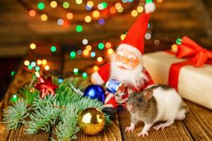 glückliche ratte an mit weihnachtsmann und geschenk auf hölzernem hintergrund mehrfarbigem bokeh foto