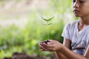 umwelt tag der erde, kind hält einen kleinen baum in der hand auf naturfeld graswald erhaltungskonzept, pflanzen bäume zur reduzierung der globalen erwärmung. foto