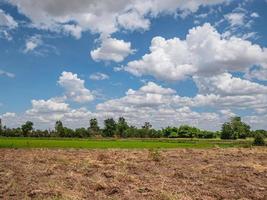 das feld oder das reisfeld mit schönem blauem himmel im ländlichen thailand. foto