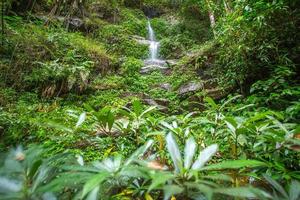 Wasserfall im Tropenwald foto