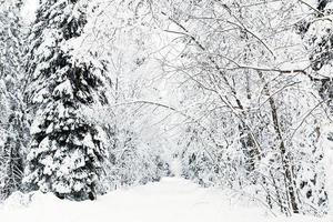 russische Winterwaldstraße im Schnee