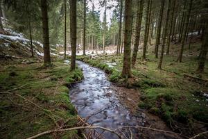 kleiner Fluss in einem kalten Winterwald