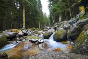 Wasserfall Frühlingssaison befindet sich tiefen Wald foto