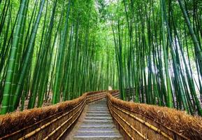 Weg zum Bambuswald, Arashiyama, Kyoto, Japan