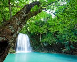 tiefer Waldwasserfall im Erawan-Wasserfall-Nationalpark foto