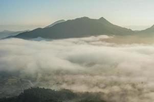 schöner Sonnenaufgang und Nebel bei Phu Thok Chiang Khan